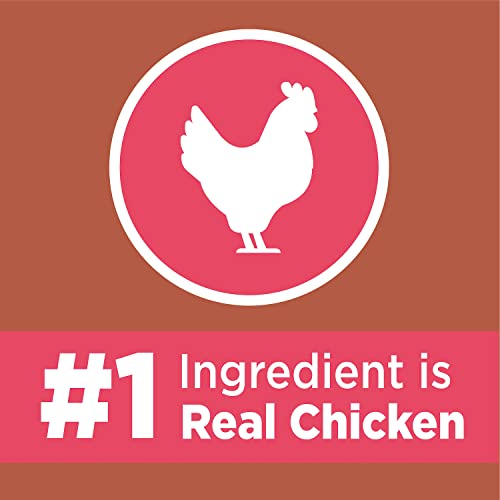 The 30 Best Dry Cat Food for Heart of 2024 [Verified] Cherry Picks