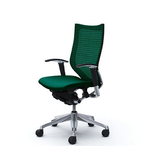 バロン (Baron) チェア 【ハイバック】 ポリッシュフレーム 可動肘 座クッション ダークグリ-ン CP85BR FEF5