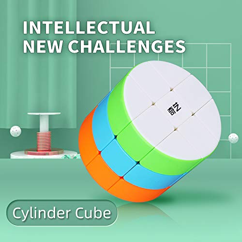 Image of D ETERNAL QY Cylinder Cube 3by 3 Barrel High Speed stickerless Magic Cube 3x3x3 (Cylindrical Barrel)