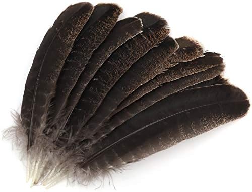 Woot 300pcs Noir Plues, Naturel Oie Plue Pour DIY Arts Crafts, Idéal Pour Costues, Chapeaux