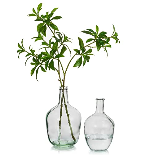 Claudias Favorite Products's Amazon Page