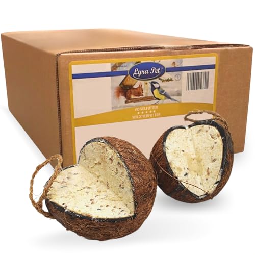 Lyra Pet 3 x 4 Ganze Kokosnüsse mit V-Cut gefüllt - Vogelfutter Wildvögel