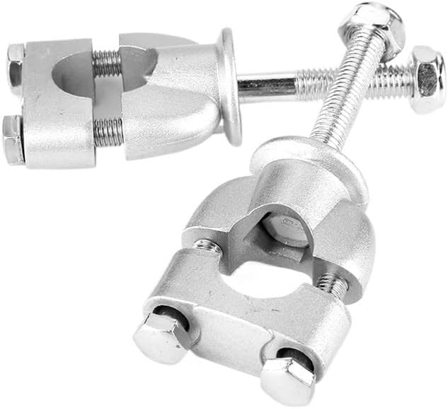 Anna Hall アンナホール 花さし アート作品 リトグラフ イベント