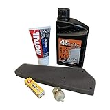 Inspektionskit 4-Takt 139QMB/A GY6 5-Teilig. Hier bieten wir Euch ein qualitativ hochwertiges Inspektionskit für Euren 4-Takter. Das Kit besteht aus:- Luftfiltereinsatz 2-lagig !- Markenzündkerze NGK C7HSA- Benzinfilter mit hochwertigem Feinfilter und ca. 40% mehr kapazität- 1 Liter 4-Takt teilsynthetik-Öl Scooter & Race , übertrifft Herstelleranforderungen! - 150 ml Motul-Getriebeöl, mit praktischer Dosierspitze. Mit dem Inspektionskit können Sie die Inspektion selbst vornehmen und bares Geld s