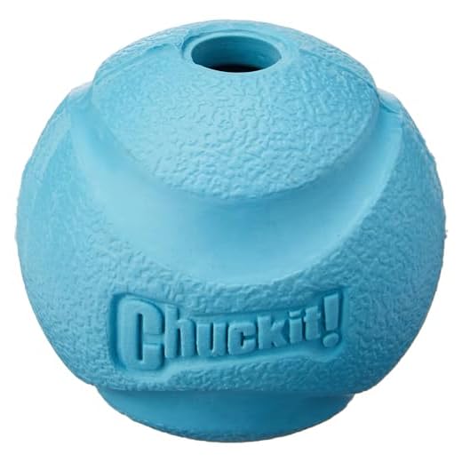 ChuckIt Bola para animais de estimação - 4 tamanhos (cores podem variar)