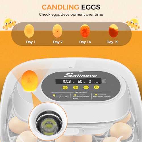 Sailnovo 24 Egg Incubators for Hatching Eggs, 4 Modes Egg Incubator with Automatic Egg Turning and Humidity Display, Egg Candler - 360° View with Clear Window Incubators for Hatching Chicks, Grey