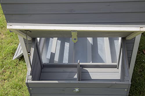 Pets Imperial® Hawksmoor Hühnerstall – Grau – 2 Nistplätze – Hühnerhaus aus Holz – Schiebetablett & Dach zum Öffnen – Bild 8