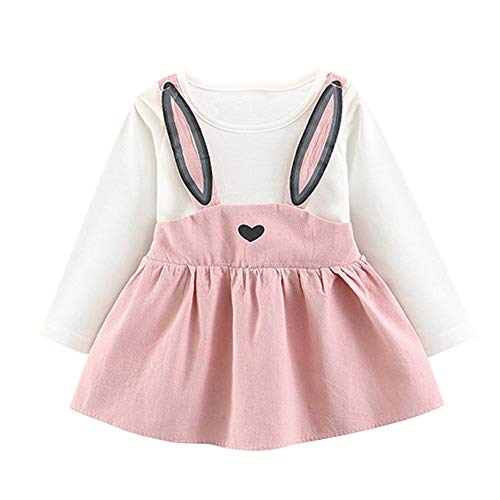 XFGLCK Toddler Kids Baby Girl Easter Outfit Long Sleeve Rabbit Style Dress Summer Clothes (Pink 3-4 T)