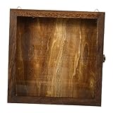 Uonlytech Caja de Madera Vintage para Exhibición de Especímenes con Tapa Transparente Estuche Decorativo para Colección de Insectos Flores Secas y Pequeños Objetos Vitrina de Pared