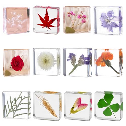 Image of 12pcs Nature Plant Flowers Specimen in Resin Preserved, Science Educational Classroom Specimens, Clear Crystal for Closer-Look & Study. Novelty Crafts Decor Ornament, Amazing Gift (1.5x1.5x0.55-inch)
