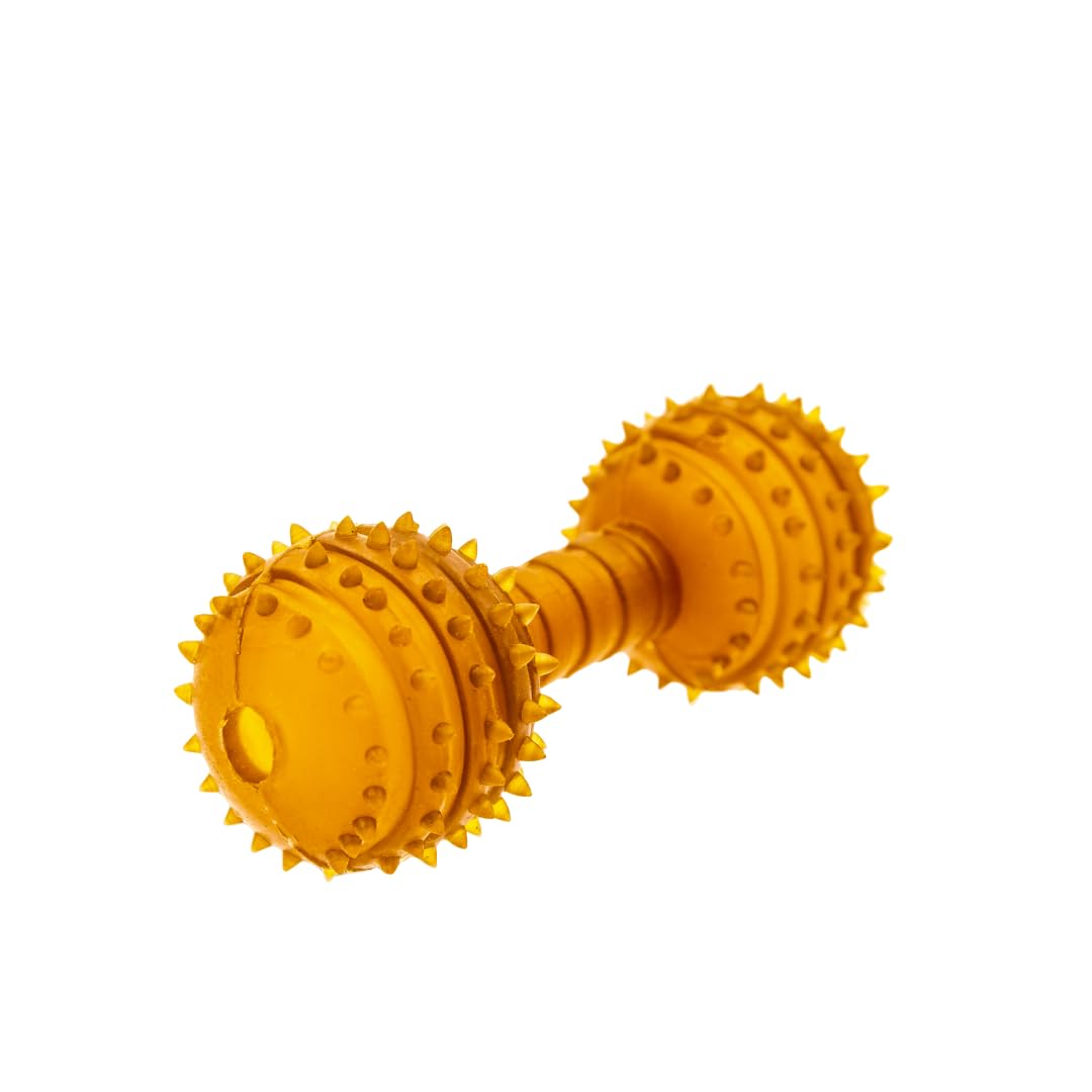 INDIPETS Studded Dumbbell Fetch Chew Toy for Medium Dogs Durable Safe Plant-Derived Toy Made with 100 Natural Rubber