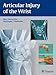 Articular Injury of the Wrist: FESSH 2014 Instructional Course Book