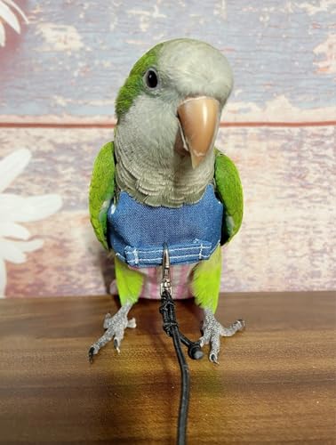 Image of Bird Flight Harness Vest, Parrot Suit with Leash for Cockatiels Conures Budgies Lovebirds African Grey, Flying Clothes Rope and Handle Outdoor Activities Training (Medium)