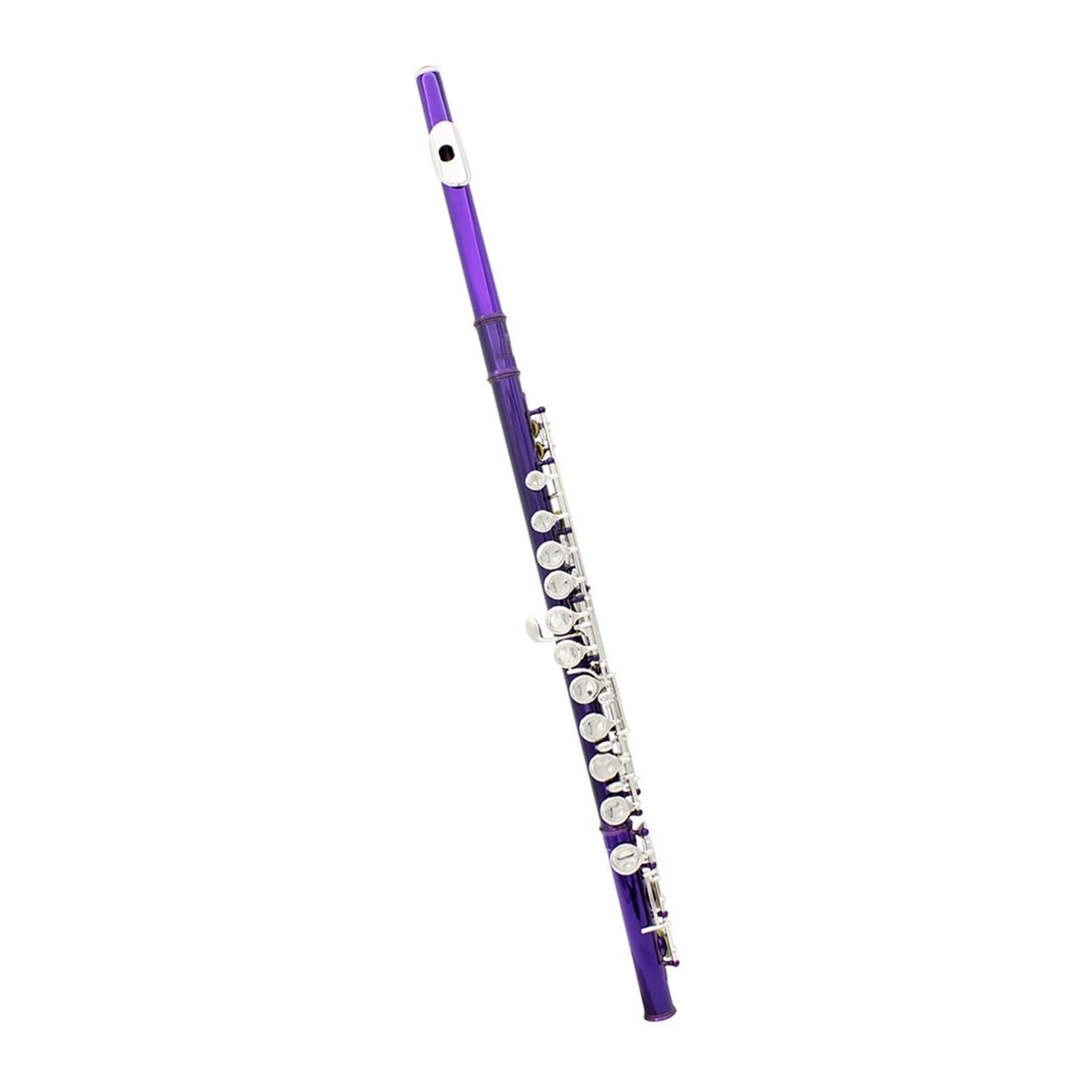 Flauto Flauto viola 16 fori C Tune Flauto con scatola in pelle Borsa per flauto Accessori per strumenti musicali Kit di pulizia