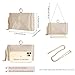 Clutch Purses for Women Tassel Evening Clutch bag Sparkly Diamond Crossbody Shoulder Bag For Wedding Night out Party(Champagne Gold)