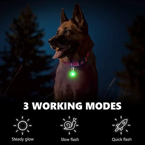 SerDa-Run 6 PCS Light Up Dog Collar Tag for The Dark, Light Dog Collar Tag, Flashing Dog Collar tag with Three Light Modes, Makes Your Dog Visible & Safety for Night Walking