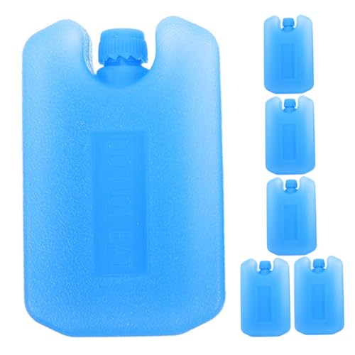 HEMOTON Scatole di Ghiaccio Ricaricabili 6 Pezzi per Trasporto a Catena del Freddo, Impacchi Refrigeranti Riutilizzabili per Borse Termiche e Ventilatori di Raffreddamento, per