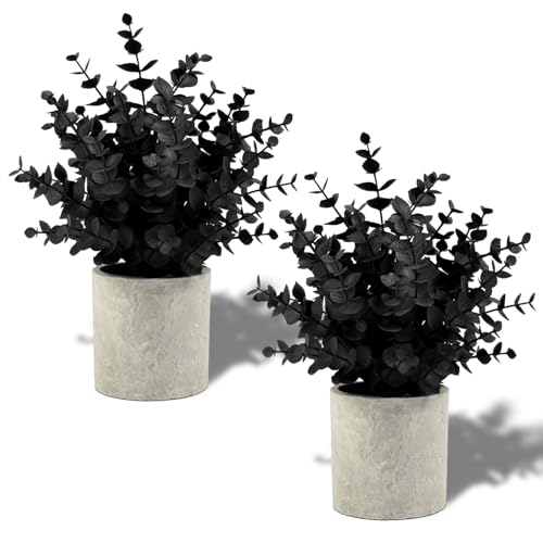 Coferset 2 Pack Small Fake Plants Eucalyptus Potted Black