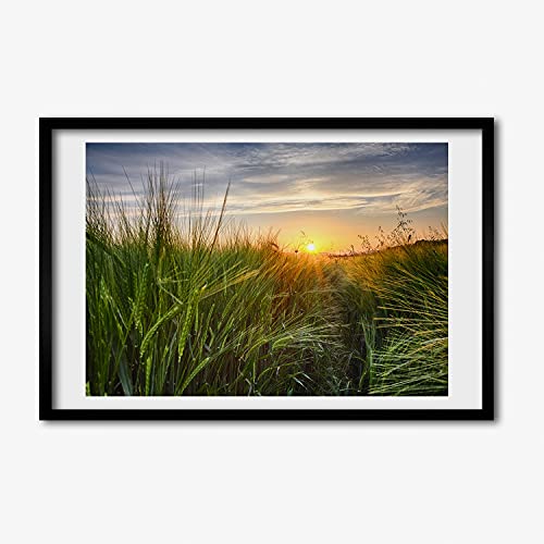 Cadre MDF Photo Affiche 60x40 Tableau Peinture Décoratif Champ De Blé Tulup