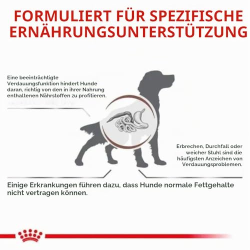 Royal Canin Veterinary Gastrointestinal Low Fat | 6 kg | Diät-Alleinfuttermittel für ausgewachsene Hunde | Trockenfutter zur Unterstützung der Verdauung | Niedriger Fettgehalt