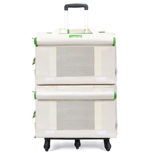 BRZUybgLÁA^A^ALɍœKłBLX^[A^їpnhAxr[J[nhA܂肽ݎbVybgnEX ω׏dĂ邽߁AAEghAAsAԓAhCuAUAȂǂɍœKłB (O[Eh