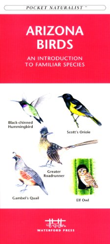 Waterford Arizona Birds