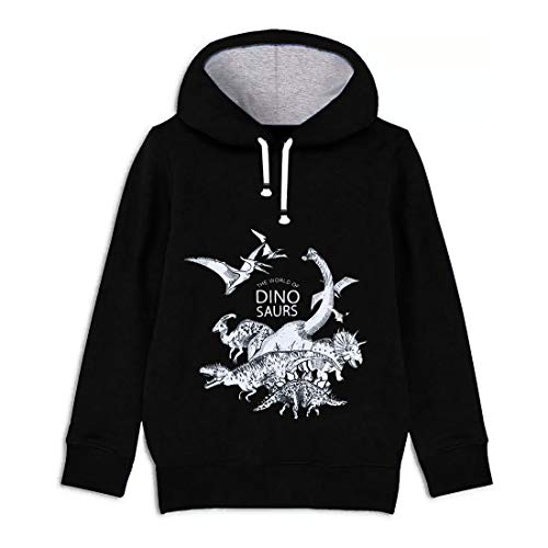 Image of Kuchipoo Boy's Fleece Hooded Hoodie (Pack of 2)