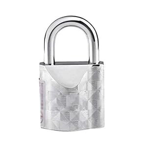 Sfqevhrz Heavy Duty Vorhängeschloss mit Schlüssel