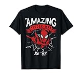 Marvel The Amazing Spider-Man Grunge Graphic T-Shirt T-Shirt