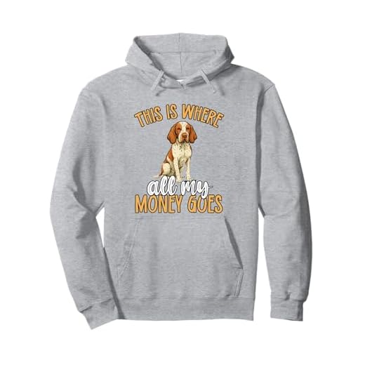 Bracco Italiano Owner Dog Owner - Bracco Italiano lover Pullover Hoodie