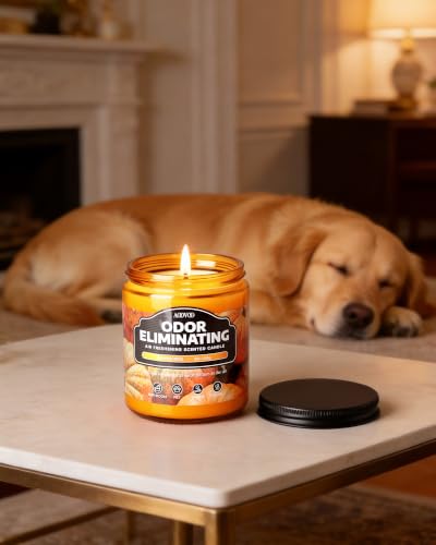 Image of AOOVOO Pumpkin Spice Odor Eliminating Highly Fragranced Candle - Eliminates 95% of Pet, Smoke, Food, and Other Smells Quickly, Non Toxic Air Freshing Soy Candle, 9 oz Up to 50 Hours Burn time