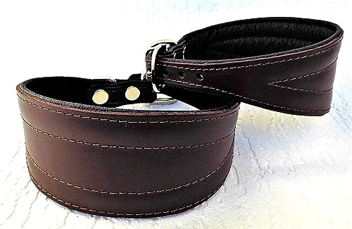 Greyhound Podenco Windhund - Halsband, Halsumfang 33-38 cm Leder °BRAUN°