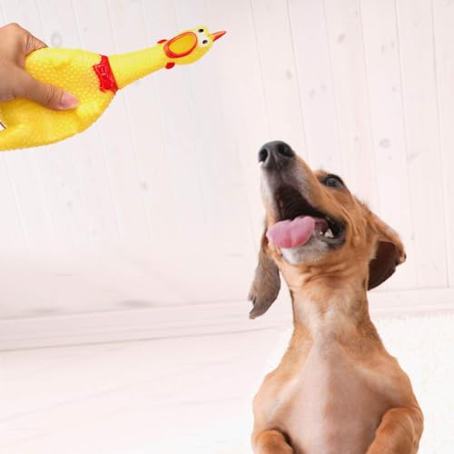 Legend Sandy Screaming Chicken,Yellow Squaking Chicken Toy Novelty and Durable Rubber Chicken for Dogs, Value 3 Pack