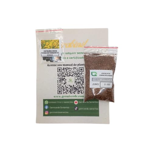 1.000 Sementes De Eucalpto Camaldulense (vermelho) P/Mudas