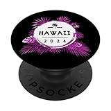 Hawaii Fun Vacay Mood Inc