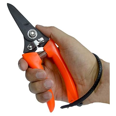 yeezo Goat Hoof Trimmer Foot Rot Trimming Shears Goats Nail Trimmers for Sheep Alpaca Pig Lamb Hooves Daily Trimming Multi Use Garden Scissors Pruning Shears Cutter Clipper Tool Cover