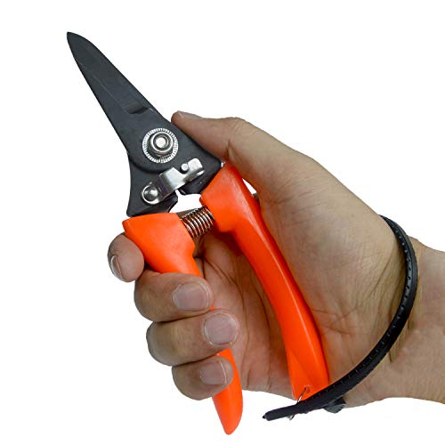yeezo Goat Hoof Trimmer Foot Rot Trimming Shears Goats Nail Trimmers for Sheep Alpaca Pig Lamb Hooves Daily Trimming Multi Use Garden Scissors Pruning Shears Cutter Clipper Tool