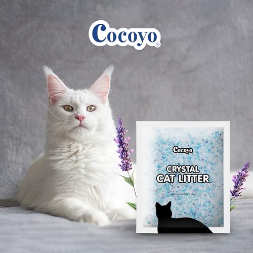 image for COCOYO Lavender-Scented Crystal Cat Litter I Silica Gel Cat Litter –