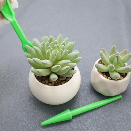 Herramientas Mini para Trasplante Jardín Set 6 Piezas miniatura 6