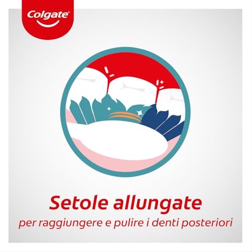 Colgate Spazzolino Extraclean, Setole Allungate Medie Confezione da 4 Pezzi I Pulizia profonda e completa della bocca I Combatte i batteri e l'alito cattivo - Immagine 5