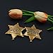 SQEYYGI Metal Sheriff Badges for Kids, Girls & Adults - Western Police Vest Badge, Cowboy Party Decoration (2)