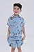 STAR WARS Darth Vader Boba Fett R2-D2 Toddler Boys Matching Family Hawaiian Button Down Shirt and Shorts Boys Shorts Set 4T