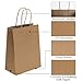 Joybe 100 Pack 5.95x3.25x8 Inch Small Brown Paper Bags with Handles Bulk, Kraft Paper Gift Bags for Birthday Party Favors Grocery Retail Shopping Business Goody Craft Sacks (Plain Natural, 100pcs)