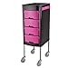 Produktbild RKY Toolbox - Trolley Rack Beauty Salon Friseurbedarf Friseur Werkzeugschrank Friseur Salon Friseur Werkzeugwagen Multifunktionaler Speicher (Farbe : A, größe : 40 * 30.5 * 91.5cm)