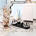 Gralara Triple Cat Bowls Wet and Dry Food Bowl Detachable Food and Water Bowls Set Raised Cat Dish for Rabbit Hamster Small Dogs, Black