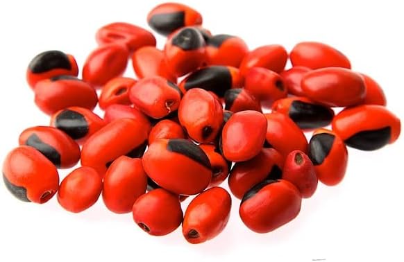 Sacred Essence Qero Paqo's Huayruro Orange/Black Jungle Bead - Male 6-8mm (10 per packet)