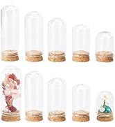SUNNYCLUE 20Pcs Glass Cloche Bell Jars For Dried Flowers & Decor