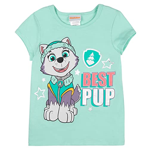 Paw Patrol Everest Toddler Girls Cosplay Costume T-Shirt Mesh Skirt Tulle Cape And Mask 4 Turquoise 4T #TOP5