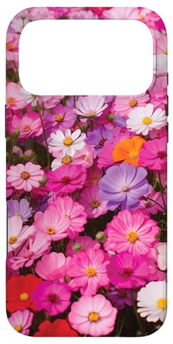 Jt 쐶  sN   X}zP[X iPhone 17 Pro Max p