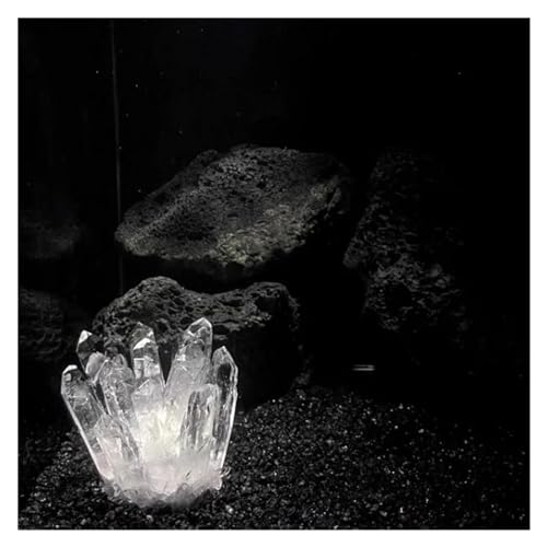 Espécimen de punta de cristal de cuarzo verde premium: pieza de colección única 6